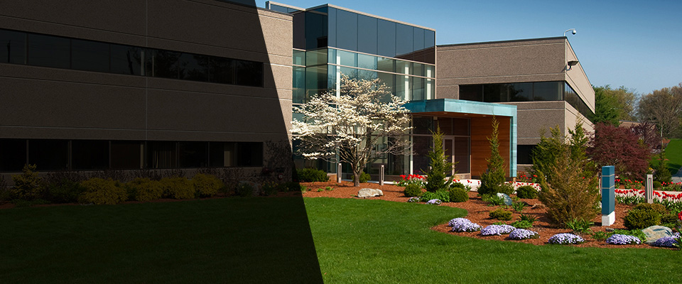 Pollock Landscapers