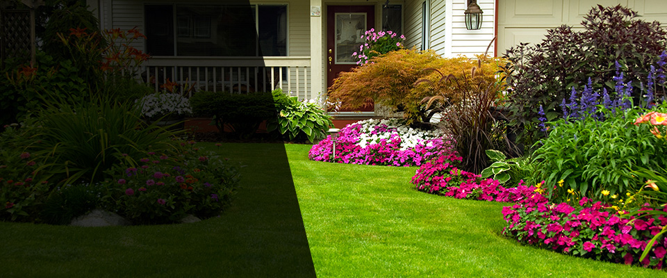 Pollock Landscapers