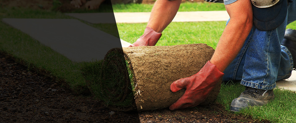 Pollock Landscapers